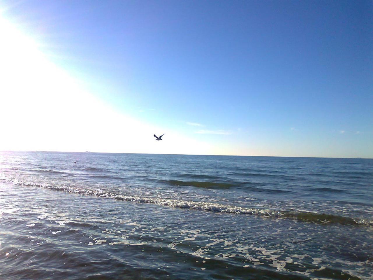 Flat With Sauna In Rerik On The Baltic Sea Kültér fotó